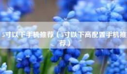 5寸以下手机推荐（5寸以下高配置手机推荐）