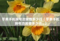 苹果手机换电池需要多少钱（苹果手机换电池需要多少钱xr）