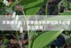 苹果换手机（苹果换手机微信聊天记录怎么恢复）