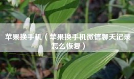 苹果换手机（苹果换手机微信聊天记录怎么恢复）
