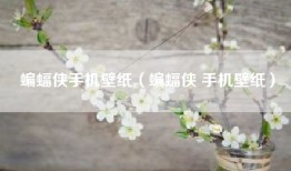 蝙蝠侠手机壁纸（蝙蝠侠 手机壁纸）