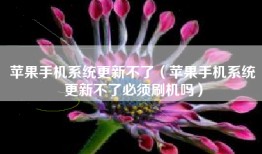 苹果手机系统更新不了（苹果手机系统更新不了必须刷机吗）