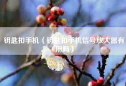 钥匙扣手机（钥匙扣手机信号放大器有用吗）