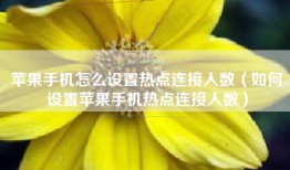 苹果手机怎么设置热点连接人数（如何设置苹果手机热点连接人数）
