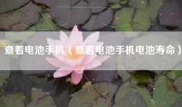 查看电池手机（查看电池手机电池寿命）