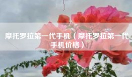 摩托罗拉第一代手机（摩托罗拉第一代手机价格）