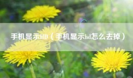 手机显示HD（手机显示hd怎么去掉）