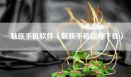 魅族手机软件（魅族手机软件下载）