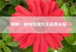 柯桥、嵊州发放汽车消费补贴