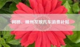 柯桥、嵊州发放汽车消费补贴