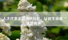 人大代表走进马浜社区，让民生诉求“落地有声”