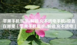 苹果手机显示u解锁,充不进电手机u设置在哪里「苹果手机显示u解锁,充不进电」