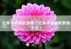 红米手机刷机教程（红米手机刷机教程汇总）
