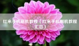 红米手机刷机教程（红米手机刷机教程汇总）