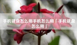 手机键盘怎么用手机怎么用「手机键盘怎么用」