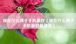 现在什么牌子手机最好（现在什么牌子手机最好最便宜）