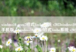 windows10 qcow2格式limbo系统 v2023windows10手机版「windows10 qcow2格式limbo系统 v2023」