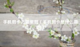 手机剪卡去哪里剪（手机剪卡是什么意思）