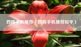 四核手机推荐（四核手机推荐知乎）