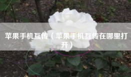 苹果手机互传（苹果手机互传在哪里打开）