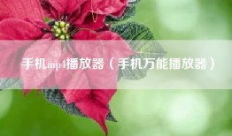 手机mp4播放器（手机万能播放器）