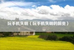 玩手机失明（玩手机失明的前兆）
