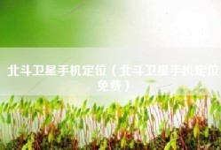 北斗卫星手机定位（北斗卫星手机定位免费）