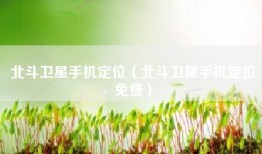 北斗卫星手机定位（北斗卫星手机定位免费）
