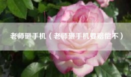 老师砸手机（老师砸手机要赔偿不）