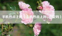 手机热点上网（手机热点上网ip会变吗）