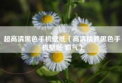 超高清黑色手机壁纸（高清精致黑色手机壁纸 霸气）