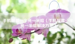手机屏幕一半亮一半暗（手机屏幕一半亮一半暗解决方法）