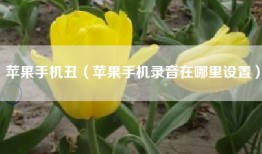 苹果手机丑（苹果手机录音在哪里设置）