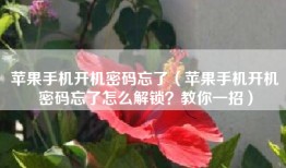 苹果手机开机密码忘了（苹果手机开机密码忘了怎么解锁？教你一招）