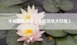 手机壁纸大白（手机壁纸大白兔）