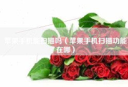 苹果手机能扫描吗（苹果手机扫描功能在哪）