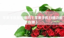苹果手机能扫描吗（苹果手机扫描功能在哪）
