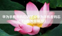 华为手机密码忘记了（华为手机密码忘记了10秒教你解开）