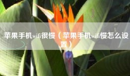 苹果手机wifi很慢（苹果手机wifi慢怎么设置）