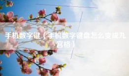 手机数字键（手机数字键盘怎么变成九宫格）