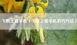 飞机上看手机（飞机上看手机的巧方法）