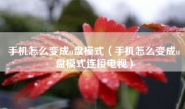 手机怎么变成u盘模式（手机怎么变成u盘模式连接电视）