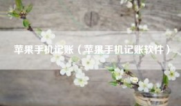 苹果手机记账（苹果手机记账软件）