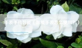 手表手机智能（智能手表怎么使用？）