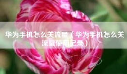 华为手机怎么关流量（华为手机怎么关流量使用记录）