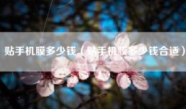 贴手机膜多少钱（贴手机膜多少钱合适）