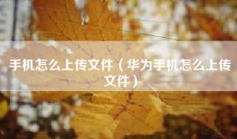 手机怎么上传文件（华为手机怎么上传文件）