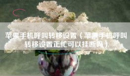 苹果手机呼叫转移设置（苹果手机呼叫转移设置正忙可以挂断吗）