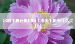 出国手机还能用吗（出国手机有什么变化）
