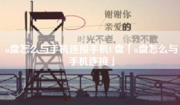 u盘怎么与手机连接手机U盘「u盘怎么与手机连接」
